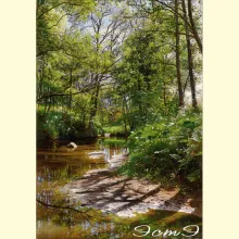 Скрин - компьютерное изображение схемы вышивки