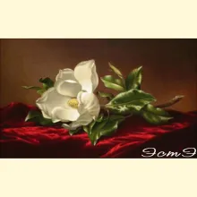 Скрин - компьютерное изображение схемы вышивки