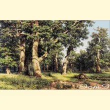 Скрин - компьютерное изображение схемы вышивки