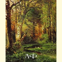 Скрин - компьютерное изображение схемы вышивки