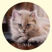 Скрин - компьютерное изображение схемы вышивки