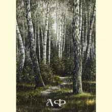 Скрин - компьютерное изображение схемы вышивки