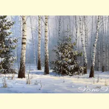 Скрин - компьютерное изображение схемы вышивки