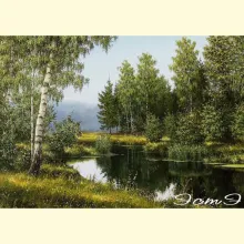 Скрин - компьютерное изображение схемы вышивки