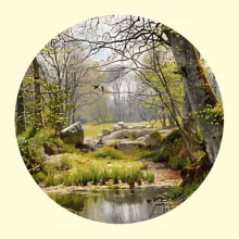 Скрин - компьютерное изображение схемы вышивки