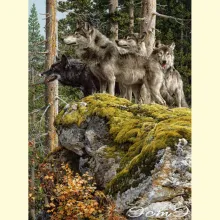 Скрин - компьютерное изображение схемы вышивки