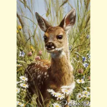 Скрин - компьютерное изображение схемы вышивки