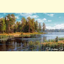 Скрин - компьютерное изображение схемы вышивки