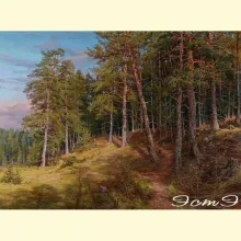 Скрин - компьютерное изображение схемы вышивки