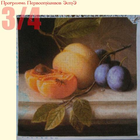 Вышивка  - ткань: Аида 18 ct, техника: крестик в 2 нитки <br>Автор вышивки: Светлана Иванова (MurMurSI) <br>Программа Первоотшивов 2013, приз 3/4 работы