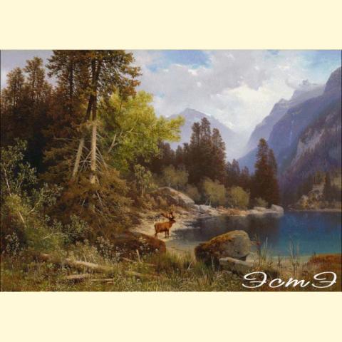 Скрин - компьютерное изображение схемы вышивки