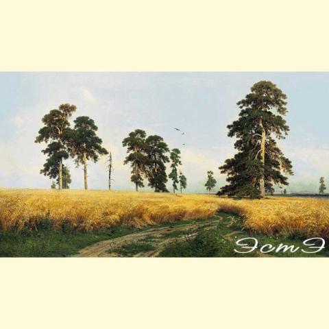 Скрин - компьютерное изображение схемы вышивки