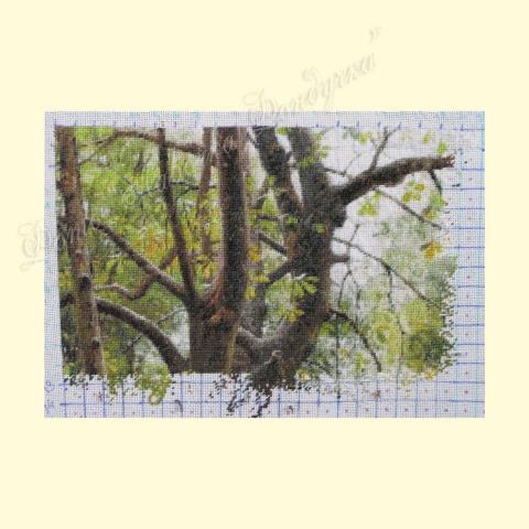 Вышивка  - ткань: Линда 27 ct, техника: петит-поинт <br>Автор вышивки: Екатерина Мусатова  (GattoC)