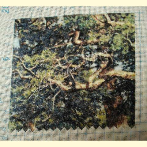 Вышивка  - Ткань: Страмин-Конгресс 24 ct, техника: петит-полукрест <br>Автор вышивки: Елена Кудинова (елка)