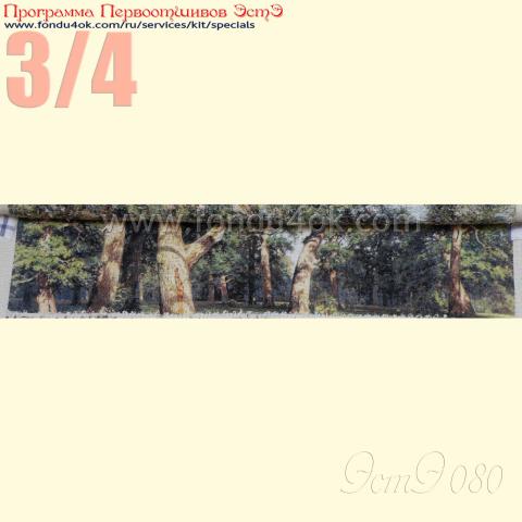 Вышивка  - ткань: Лугана 25 ct, техника: петит-поинт <br>Автор вышивки: Плешкова Марина (Marnik)<br>Программа Первоотшивов 2015, приз 3/4 работы