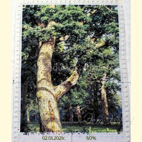 Вышивка  - ткань: Страмин-Конгресс 24 ct, , техника: петит/полукрест <br>Автор вышивки: Галина Викторова (viktorovagalina)