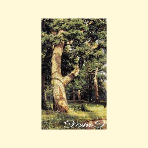 Скрин - компьютерное изображение схемы вышивки