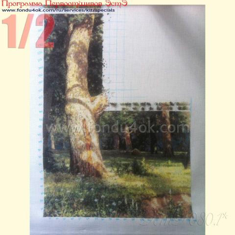 Вышивка  - ткань: Аида 18 ct, техника: крестик в 2 нитки <br>Автор вышивки: Ольга Аксенова  (Олька)<br>Программа Первоотшивов 2015, приз 1/2 работы