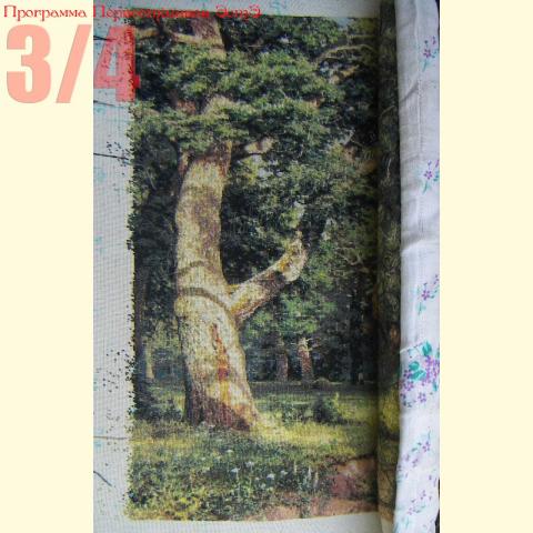Вышивка  - ткань: Линда 27 ct, техника: петит-поинт <br>Автор вышивки: Людмила Пинаева (люпин)<br>Программа Первоотшивов 2014, приз 3/4 работы