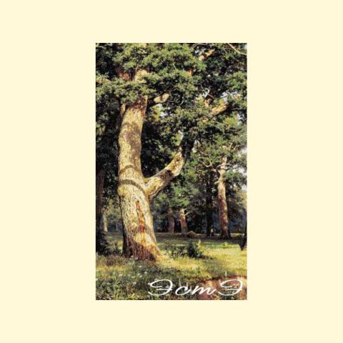 Скрин - компьютерное изображение схемы вышивки