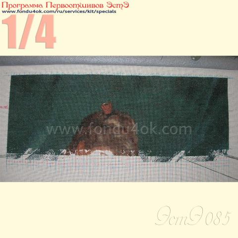 Вышивка  - ткань: Страмин-Конгресс 24 ct, , техника: петит/полукрест <br>Автор вышивки: Елена Сухарева (Леночек)<br>Программа Первоотшивов 2015, приз 1/4 работы