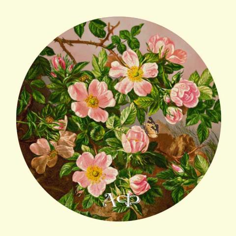 Скрин - компьютерное изображение схемы вышивки