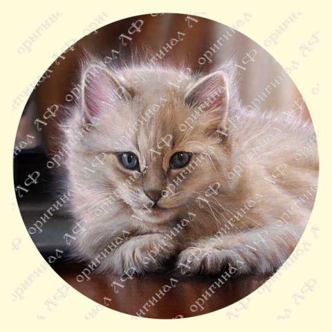 Оригинал схемы - отредактированная репродукция картины