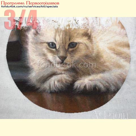 Вышивка  - ткань: Конгресс-страмин 24 ct, техника: петит-полукрест <br>Автор вышивки: Татьяна Федина (tatusha)<br>Программа Первоотшивов 2022, приз 3/4 работы