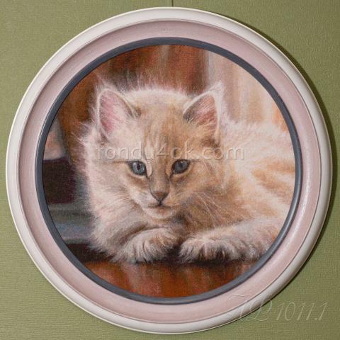 Вышивка  в оформлении - ткань: Конгресс-страмин 24 ct, техника: петит-полукрест