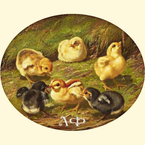 Скрин - компьютерное изображение схемы вышивки