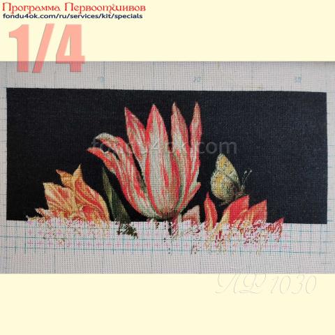Вышивка  - ткань: Страмин-Линда 27 ct, техника: петит/полукрест <br>Автор вышивки: Наталья Матвеева (nvm602)<br>Программа Первоотшивов 2025, приз 1/4 работы