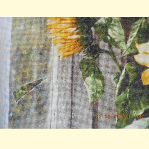 Вышивка  - ткань: Аида 18 ct, техника: крестик в 2 нитки<br>Автор вышивки:  Елена Морозова (Cdior)