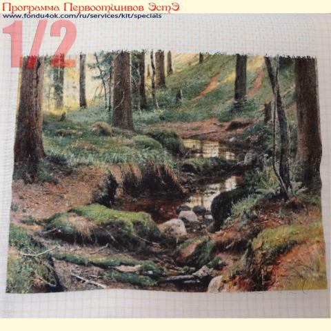 Вышивка  - ткань: Сетка гобеленовая 25 ct, техника: петит/полукрест <br>Автор вышивки:  Светлана (svetik)<br>Программа Первоотшивов 2017, приз 1/2 работы