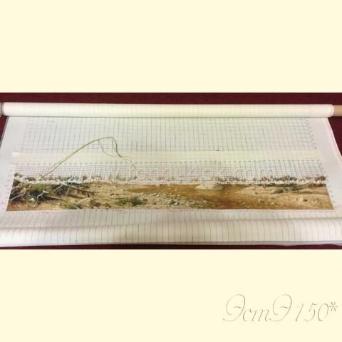 Вышивка  - ткань: Аида 20 ct, техника: петит-полукрест в 3 нитки<br>Автор вышивки: Ирина Карпова (kocshka)