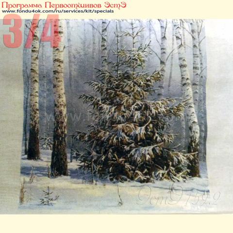 Вышивка  - ткань: Страмин-Конгресс 24 ct, , техника: петит/полукрест <br>Автор вышивки: Мария (marycia)<br>Программа Первоотшивов 2018, приз 3/4 работы