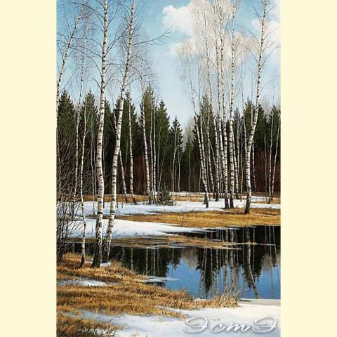 Скрин - компьютерное изображение схемы вышивки