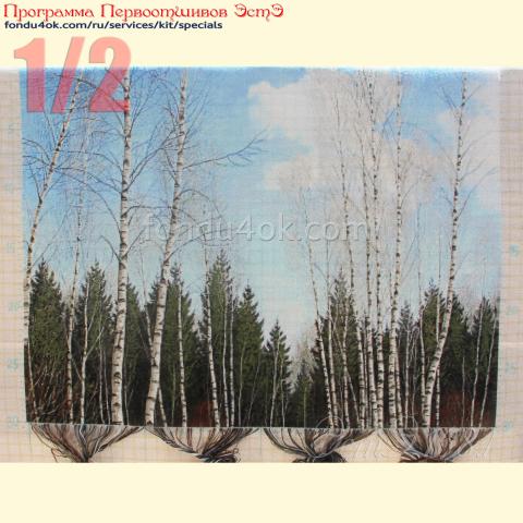 Вышивка  - ткань: сетка 25 ct, техника: петит-полукрест <br>Автор вышивки: Злата Кремез (zlataya)<br>Программа Первоотшивов 2024, приз 1/2 работы