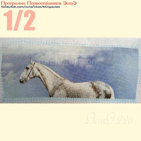 Вышивка  - ткань: Конгресс Страмин 24 ct, техника: петит/полукрест <br>Автор вышивки: Денис Денисов<br>Программа Первоотшивов 2023, приз 1/2 работы