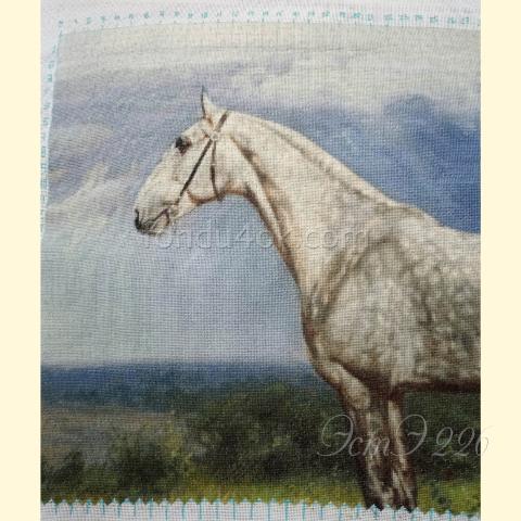 Вышивка  - ткань: Конгресс Страмин 24 ct, техника: петит/полукрест <br>Автор вышивки: Денис Денисов