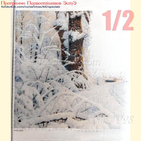 Вышивка  - ткань: Аида 18 ct, техника: крестик в 2 нитки <br>Автор вышивки: Наталья Шакина (NataSha25)<br>Программа Первоотшивов 2025, приз 1/2 работы