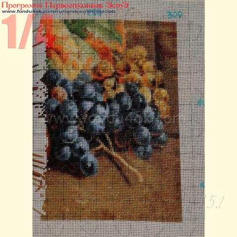 Вышивка  - ткань: Конгресс 24 ct, техника: петит-поинт <br>Автор вышивки: Елена Ветрова (Elena_V)<br>Программа Первоотшивов 2016, приз 1/4 работы