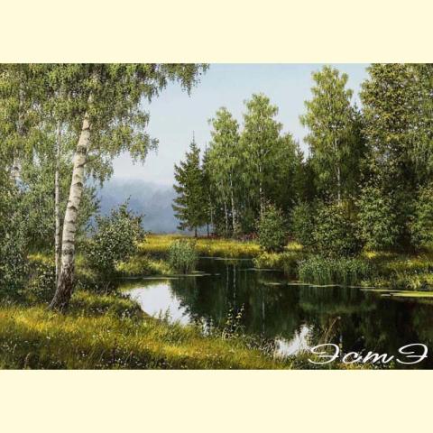 Скрин - компьютерное изображение схемы вышивки