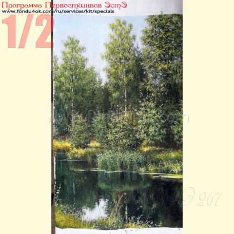 Вышивка  - ткань: Аида 18ct, техника: крест<br>Автор вышивки: Антонина Михайлова<br>Программа Первоотшивов 2018, приз 1/2 работы