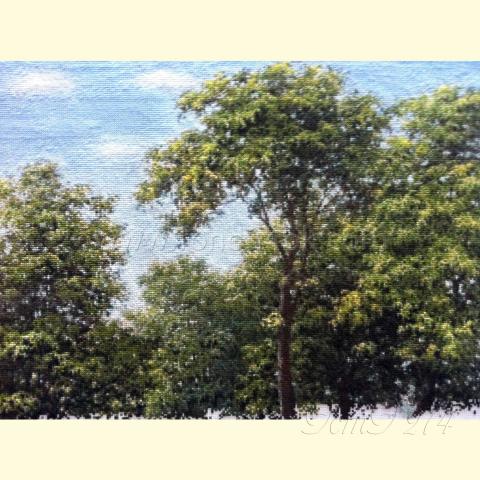 Вышивка  - ткань: Аида 18 ct, техника: крестик в 2 нитки<br>Автор вышивки: Валерий Николаевич Зевахин