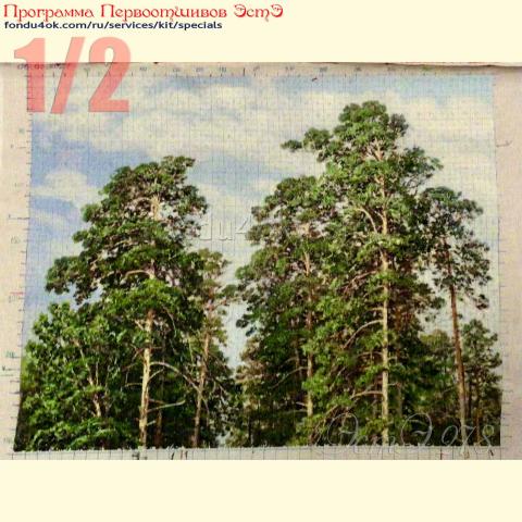 Вышивка  - ткань: Страмин-Конгресс 24 ct, техника: петит/полукрест <br>Автор вышивки: Наталья Макарова (наталииии)<br>Программа Первоотшивов 2022, приз 1/2 работы