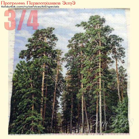 Вышивка  - ткань: Страмин-Конгресс 24 ct, техника: петит/полукрест <br>Автор вышивки: Наталья Макарова (наталииии)<br>Программа Первоотшивов 2022, приз 3/4 работы