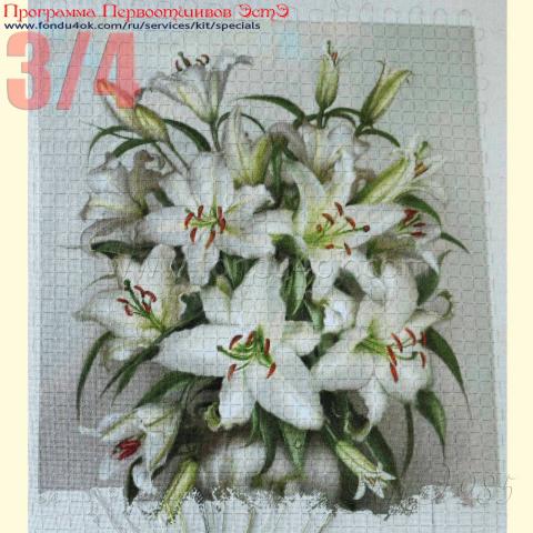 Вышивка  - ткань: Лугана 25 ct, техника: петит-полукрест<br>Автор вышивки:  Елена Ветрова (Elena_V)<br>Программа Первоотшивов 2017, приз 3/4 работы