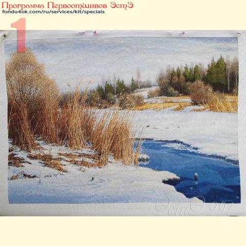 Вышивка  - ткань: Конгресс Страмин 24 ct, техника: петит-полукрест <br>Автор вышивки: Татьяна Борисенко (Палома)<br>Программа Первоотшивов 2021