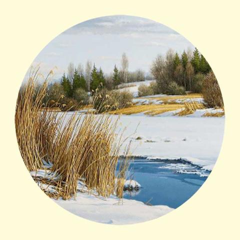 Скрин - компьютерное изображение схемы вышивки