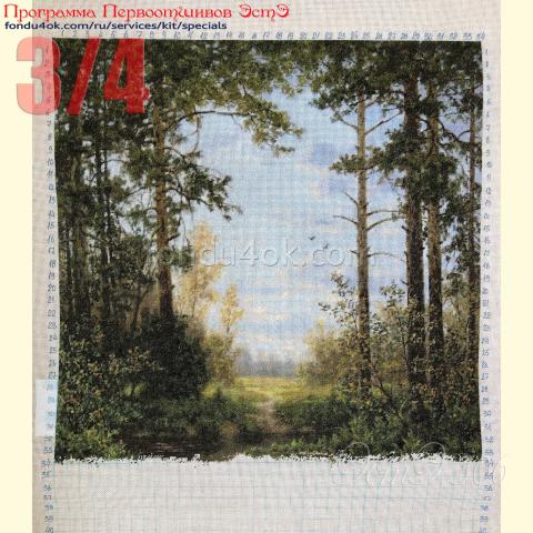 Вышивка  - ткань: Страмин-Конгресс 24 ct, техника: петит/полукрест <br>Автор вышивки: Инна Демиденко<br>Программа Первоотшивов 2021, приз 3/4 работы